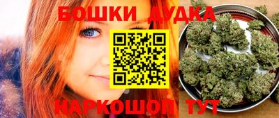 стафф Гатчина