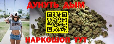 стафф Гатчина