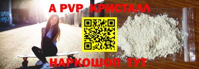 стафф Гатчина