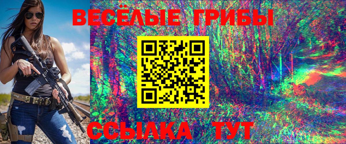 Псилоцибиновые грибы мицелий  Вход с VPN  Михайловка 
